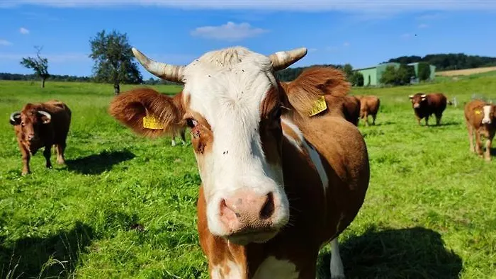 Haus Am Brunnen 2 Klosterkumbd